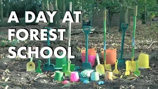 A Day at Forest School