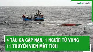 4 tàu cá gặp nạn, 1 người tử vong, 11 thuyền viên mất tích | Báo Dân Việt