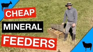 Economical Goat and Sheep Mineral Feeders