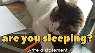 write a statement#no need to sleep