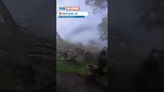 Powerful Winds Knock Down Trees In Portage, Michigan #severeweather #doorbellcam