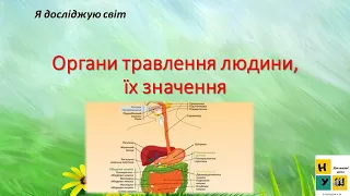 Урок 67 ОРГАНИ ТРАВЛЕННЯ ЛЮДИНИ, ЇХ ЗНАЧЕННЯ. ЯДС 3 клас  за підручником І.Жаркової