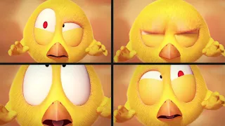 El juego de Chicky | ¿Dónde está Chicky? | Pollito pio | Colección dibujos animados para Niños HD