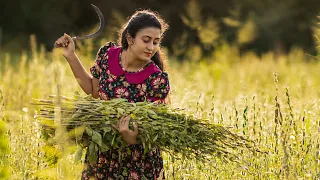 Sesame harvest!!! With a Variety of SESAME OIL Recipes 🍜 | Traditional Sri Lankan Food