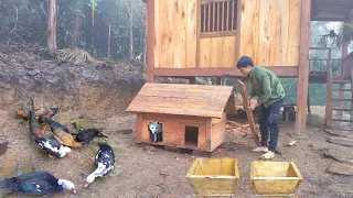 Build a farm in the forest, Make a small hut for two pet dogs / Living With Wild Nature - Episode 24