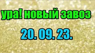 🌸Продажа орхидей. ( Завоз 20. 09. 23 г.) Отправка только по Украине. ЗАМЕЧТАТЕЛЬНЫЕ КРАСОТКИ👍