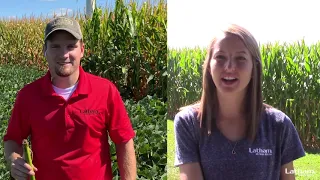 Ask The Agronomist: Dealing with the Derecho & Drought
