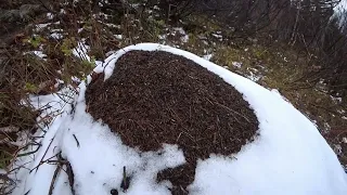 ПВД на Двуглавую сопку