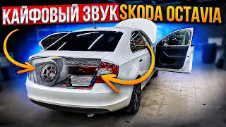 Кайфовый звук в Skoda Rapid 👍 Автозвук в Шкоду за 97700 рублей