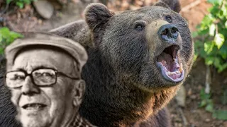 This bear was punched and killed by Gene Moe