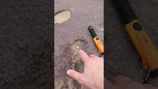 Dug a tank on the beach!  Absolute madness!