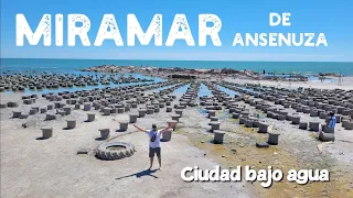 MIRAMAR de Ansenuza - BAJÓ EL AGUA y lo que SE VE !!! WOWWW 😱