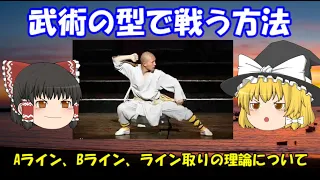 武術の型で戦う方法　Aライン、Bライン、ライン取りの理論について　How to fight with KATA