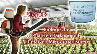 Vlog #08 - Biologische Pflanzenstärkung mit Effektiven Mikroorganismen