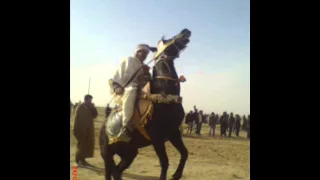 cheikh mamou dolma algérienne.