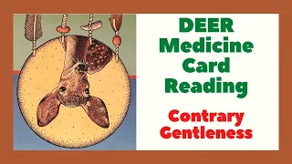 Deer Medicine Card Reading - Contrary Gentleness | Native American Spirituality