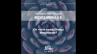 14 мая (Иисуса Навина 6-8) | План чтения Библии за год