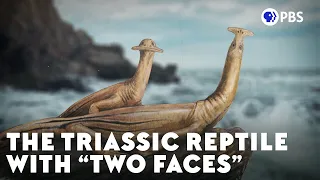 The Triassic Reptile With "Two Faces"
