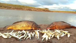 ENCONTRAMOS EL CARDUMEN DE PEJERREYES/ FUE UNA LOCURA ESTA PESCA EN GENERAL BELGRANO.