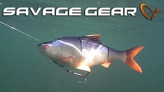 Trolling Test Video: Savage Gear 3D Roach