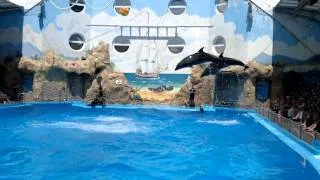 Odessa Dolphinarium July 2013