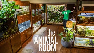 INCREDIBLE TOUR of The Animal Room (2021 Extensive Update)