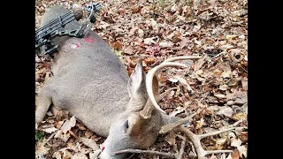 2017 self filmed PA archery buck