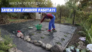 Не хочу больше гнуть спину! Закладываю ягодник на агроткани ❘ Малина ремонтантная и земляника