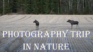 photography trip in nature