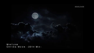 MintJam - Crying Moon -2014 Mix-