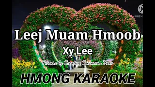 Leej Muam Hmoob Karoake by Xy Lee