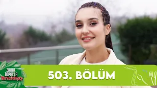 Zuhal Topal'la Yemekteyiz 503. Bölüm @Yemekteyiz