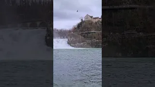 the Biggest Waterfall in Europe | Rhine Falls | Switzerland Rheinfall