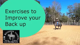 Training your horse to back better. Exercises to improve the back up.