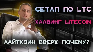 ЛАЙТКОИН ВВЕРХ, ПОЧЕМУ? СЕТАП ПО LTC | ХАЛВИНГ LITECOIN