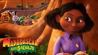 Feliz Cumpleaños Kate | Madagascar: Algo Salvaje