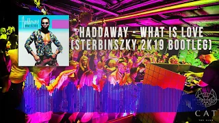 Haddaway - What Is Love (Sterbinszky 2k19 Remix)