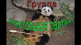 CYGO - Panda E (Караоке с исполнением)