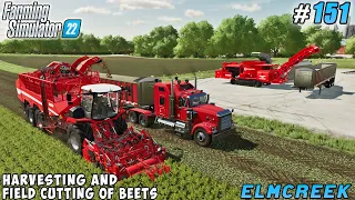 Enhancing Harvest Efficiency: Organizing Beet Cutting in the Field | Elmcreek Farm | FS 22 | ep #151