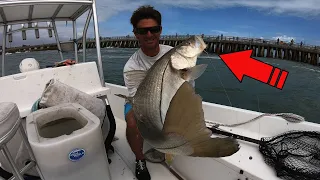 Catching Fish TOO BIG TO KEEP! - Jetty Fishing