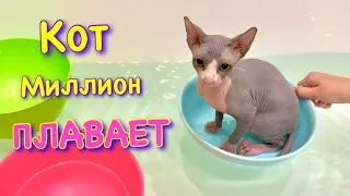 Кот МОЕТСЯ В ВАННОЙ 😱 Кот Миллион