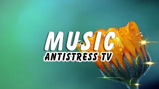 ОСЕННИЕ Цветы и Красивая Музыка Мечты!  Релакс Видео ✔ Послушайте! #AntistressTV