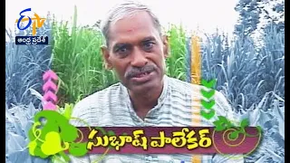 Subhash Palekar | Margadarshi | 6th February 2022 | Full Episode | ETV Andhra Pradesh