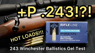 FEEL THE POWER!! 243 Winchester PPU 100gr Ammo Test