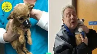 Man 'Thanked' By Puppy He Rescued With Taped Mouth