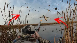 North Dakota Duck Hunting! We found a Secret Public Land Corn Hole! (ALL DRAKE LIMIT!)