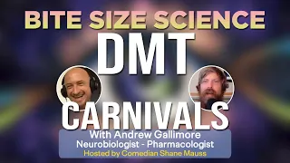 What's up with DMT Carnivals??? || Bite Size Science || w/ Dr. Andrew Gallimore