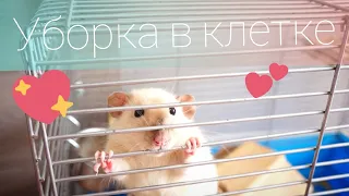 УБОРКА В КЛЕТКЕ У КРЫСЫ! КАК Я УБИРАЮСЬ В КЛЕТКЕ У КРЫС :) КЛЕТКА ДЛЯ КРЫС, ДЕКОРАТИВНЫЕ КРЫСЫ