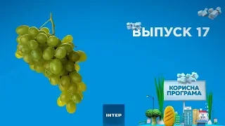 Как выбрать вкусный виноград | ПОЛЕЗНАЯ ПРОГРАММА. Выпуск 17 — 1.10.2019