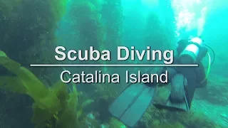 Scuba Diving on Catalina Island, California - Extra, Extra
